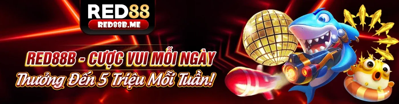 mb5 link vào Chương trình Đối tác Uy tín 2026